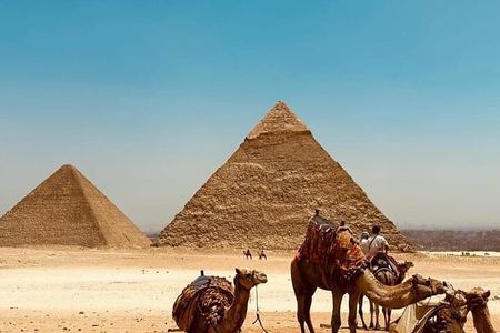 Day tour to the Great pyramid & the Egyptian Museum 