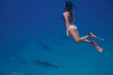 Dolphin House Snorkeling Trip & Transfer W/Lunch :Marsa Alam