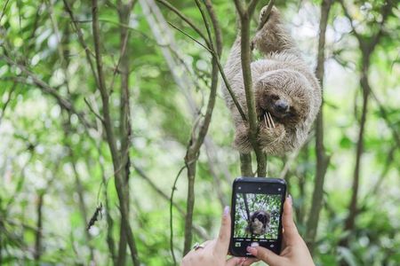 Coffee & Chocolate Tour+Sloths Park & Llanos de Cortez Waterfall