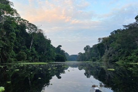 Iquitos: Secret to Black River | Full Day