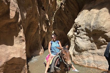 Trek with Mules or Donkeys - Dades Gorge/Roses Valley 
