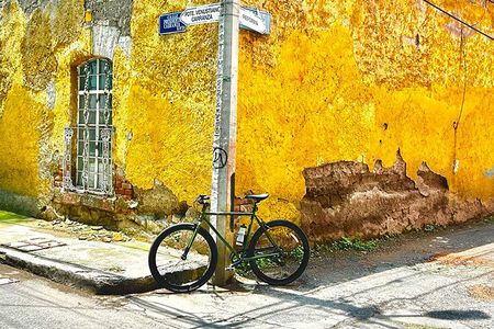 Bike Tour through Colonia Del Valle and Coyoacán / Mexico