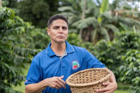 Coffee & Chocolate Tour+Sloths Park & Llanos de Cortez Waterfall