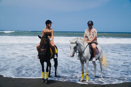 Bali Horse Riding Sanur Beach include Transport