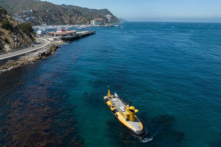 Yellow Semi-Submarine Tour of Catalina Island From Avalon