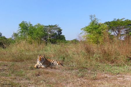 Tour of the Wildlife Rescue Center