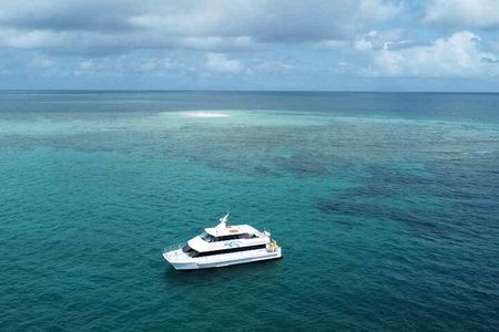 Mission Beach: Small Group | Outer Reef Snorkel & Dunk Island