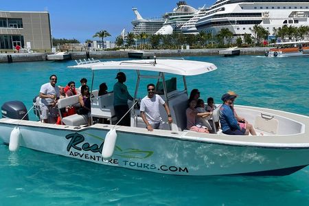 1 Hour Harbor Tour: Unlimited Punch, Celeb homes, Atlantis….