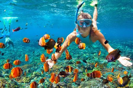  Orange Bay Private Snorkeling Cruise with Lunch
