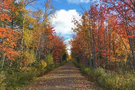 3 Hour E-Bike Tour of Charlottetown