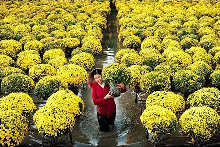 Private 2-Day Mekong Delta, Floating Market, Flower Villages Tour