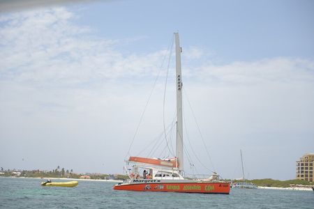Banana Adventure Catamaran Shipwreck Snorkel and Turtle Swim