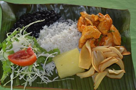 Organic Farm Tour with Sugar Cane Grinding and Lunch