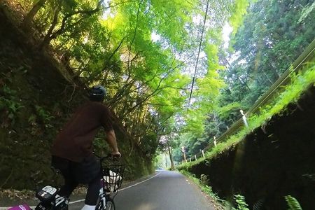 ONLY AUG! Perfect Arashiyama day by E-BIKE in private!