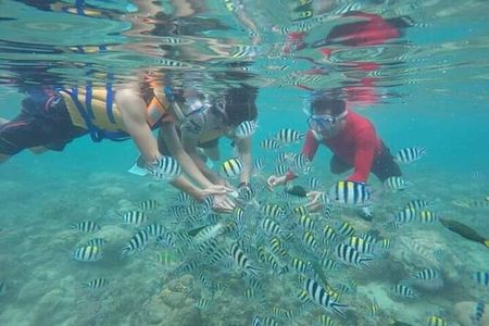 Private Guided Snorkeling Tour in Gili Nanggu Sudak and Kedis