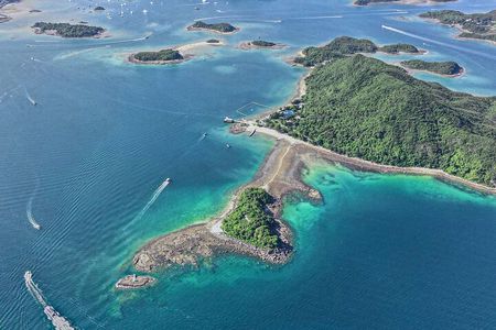 Snorkeling Guided Tour in Hong Kong's Cactus Coral Area