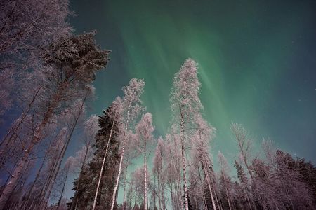 From Rovaniemi: Northern Lights Tour with Campfire Snacks