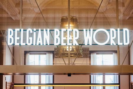 Brussels Discovery and Belgian Beer World Experience