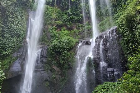 North Bali Sekumpul Waterfall, Banyumala Waterfall & Temple Tour
