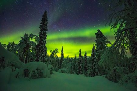  Northern Lights Hunting of Rovaniemi 