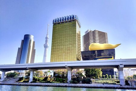 Tokyo Private Half Day Tour with Licensed Guide by Car