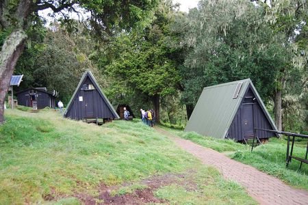 Kilimanjaro 1 Day Hike on the Marangu Route