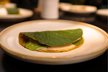 Michelin Taco Bike Tour: Roma Norte & Condesa /All-Inclusive.