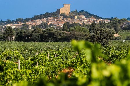 Wine Tasting Tour at Châteauneuf du Pape