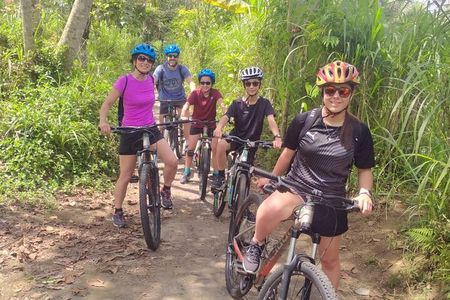 Ubud Wonderful Afternoon Downhill Cycling Tour 