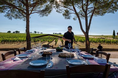 DRINK&FOOD: Private Vineyard and Winery Tour with Tasting 