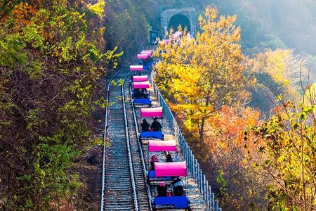 Nami, Rail Bike, The Alpaca Garden & Light Festival