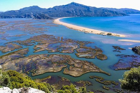 Dalyan Day Trip with Mud Bath and Turtle Beach From Fethiye