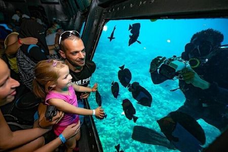 Underwater Adventures Through Semi-Submarine Trip - Marsa Alam