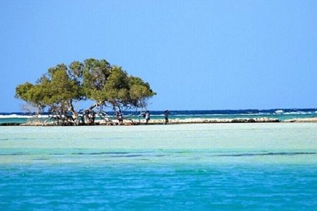 Hamata & Qulaan Islands Snorkeling Trip with Lunch - Marsa Alam