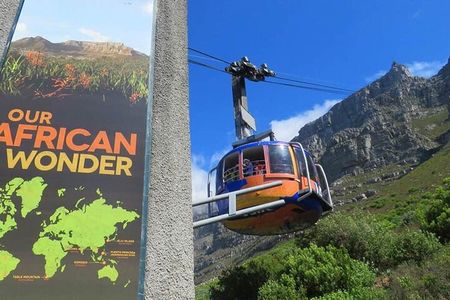 Full-Day Penguins & Cape Point with Table Mountain Cable Car