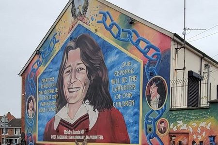 Belfast Political/history/troubles private taxi/cab tour 