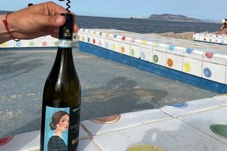 Hidden Palermo Bike Tour with Organic Wine Tasting