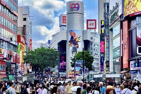 Private All Inclusive "Neo Tokyo Tour" on a Luxury Car