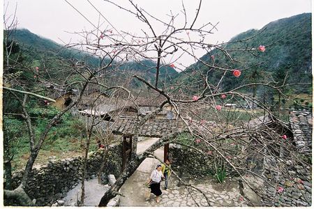 Sapa Hanoi 3 Days Trip