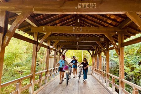 Pedal Adventure Kyoto's iconic landmarks on an e-bike tour