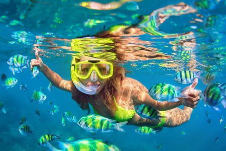 Kona Shore Excursion: Wild Dolphin Reefs Snorkel and Sea Caves 