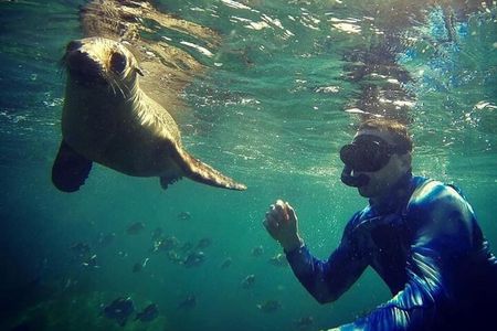 Espiritu Santo Island Snorkeling and Beach Hopping