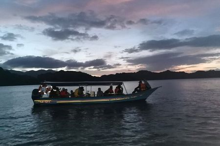 Langkawi Wild Night Out - Mangrove Safari & Riverside Dinner