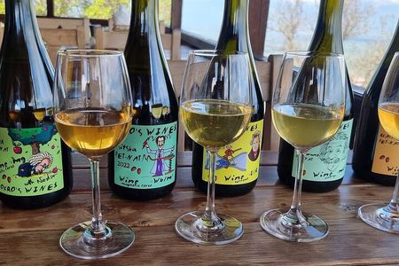 Private Wine Tour In Kakheti Region with 7 Wines and Lunch