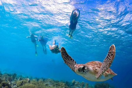 Abu Dabab Semi-Private Trip with tickets & lunch from Hurghada 