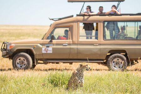 5 Days Best of Tanzania Luxury Safari Northern Circuit 