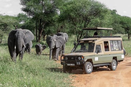 5-Day Highlights mid-Range Crater, Serengeti, Tarangire