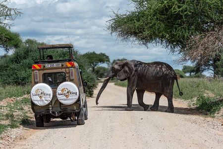 Private 6-Day Tarangire Manyara Crater and Serengeti with Mid-Range Lodges