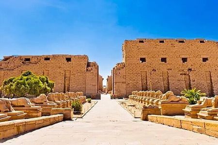 Luxor Half-Day Tour ,karnak Temple & Luxor Temple, All inclusive