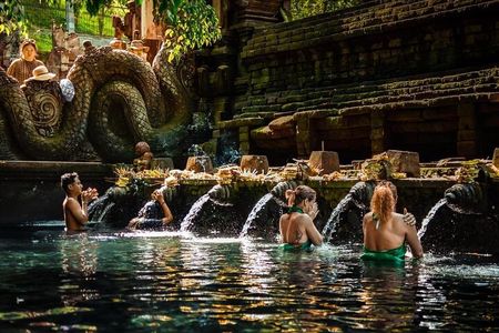Ubud Sightseeing Private Tour - Instagramable Spot and More